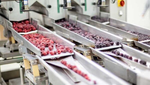 FORZEN MANUFACTUREING